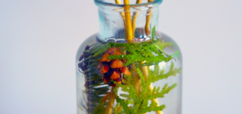 DIY air freshener diffuser