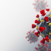 Coronavirus pandemic