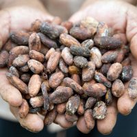 climate change is real