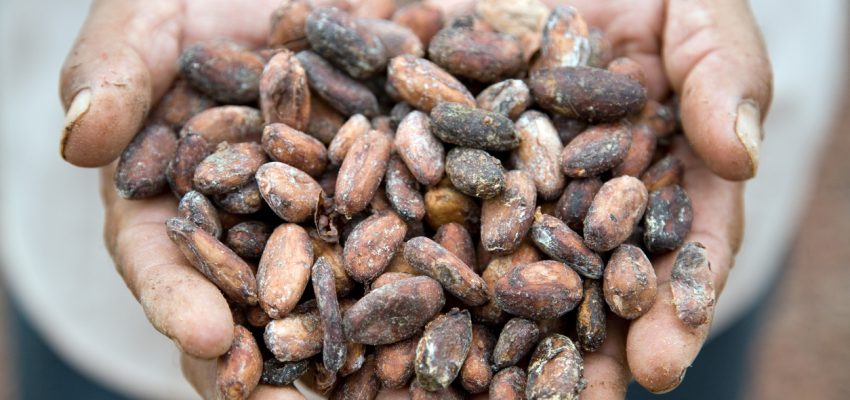 climate change is real