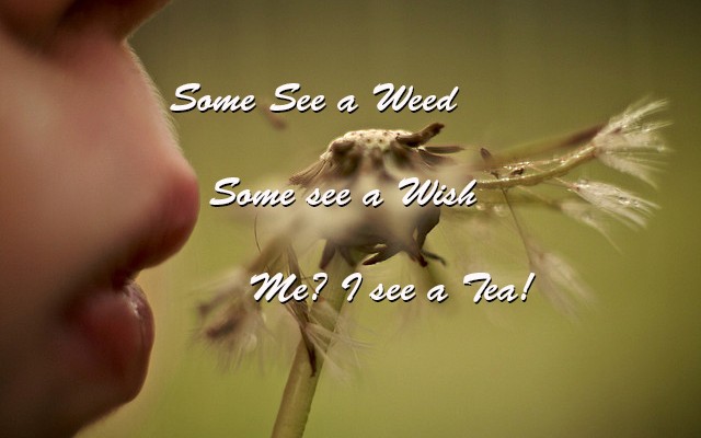 Green living blogger