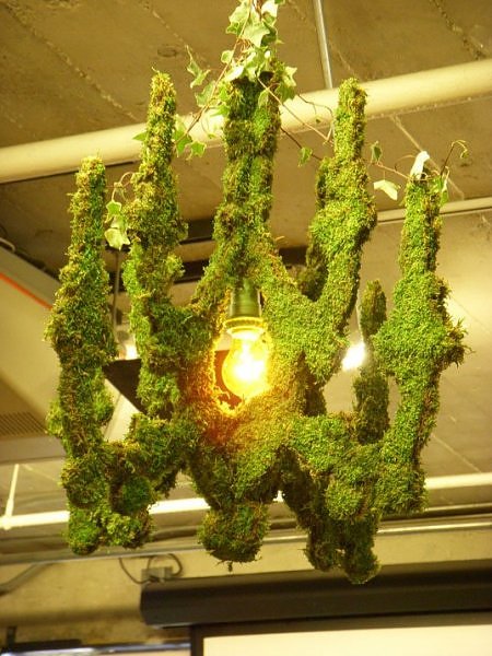 Green living: Edina Tokodi moss art