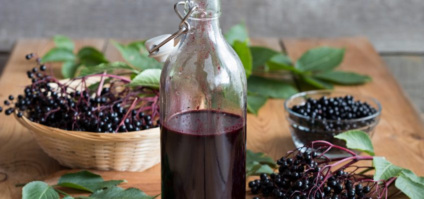 elderberry remedy