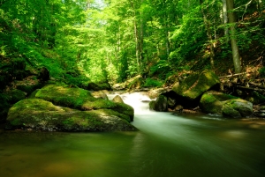 Green living GHG emissions