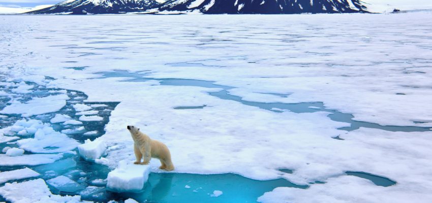 Best Global Warming websites