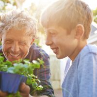 green living tiny house