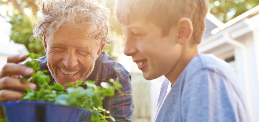 green living tiny house