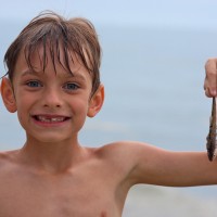 Green living blogger