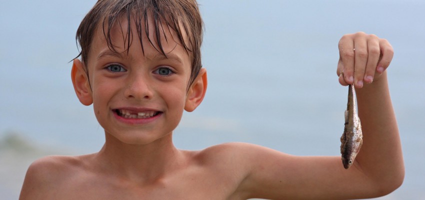 Green living blogger