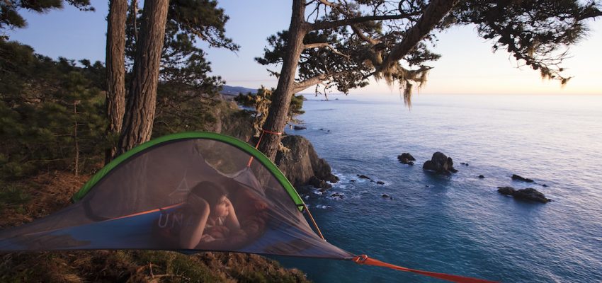 Tensile Tree tent review