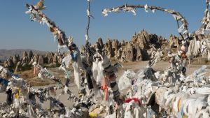 Green living Toronto