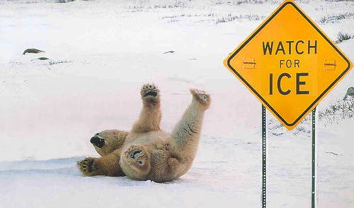 eco friendly salt alternatives