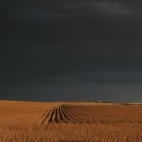 climate change is real