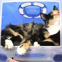 Upcycled iMac computer tutorial