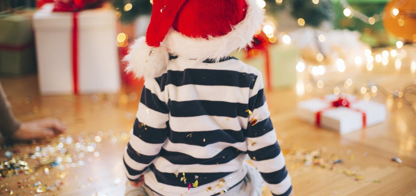 Recycled Christmas trees