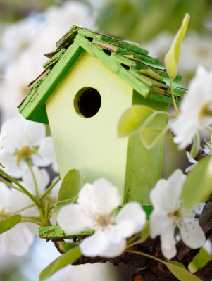 Free birdhouse plans