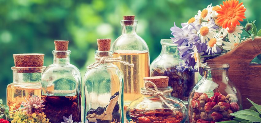 Edible flowers garden