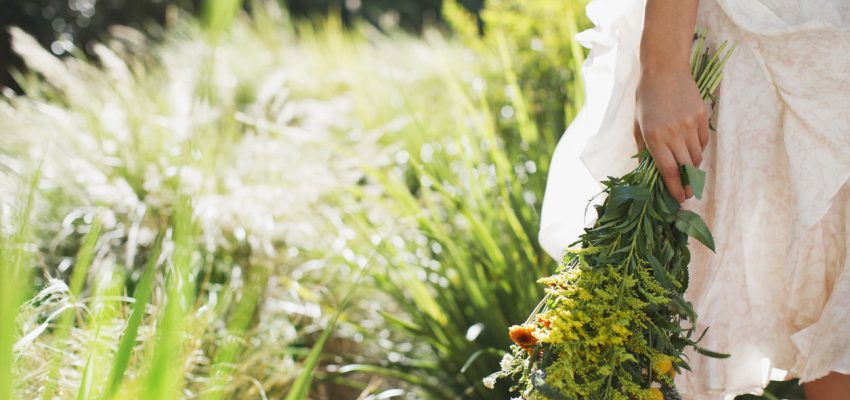 foraging for edible flowers
